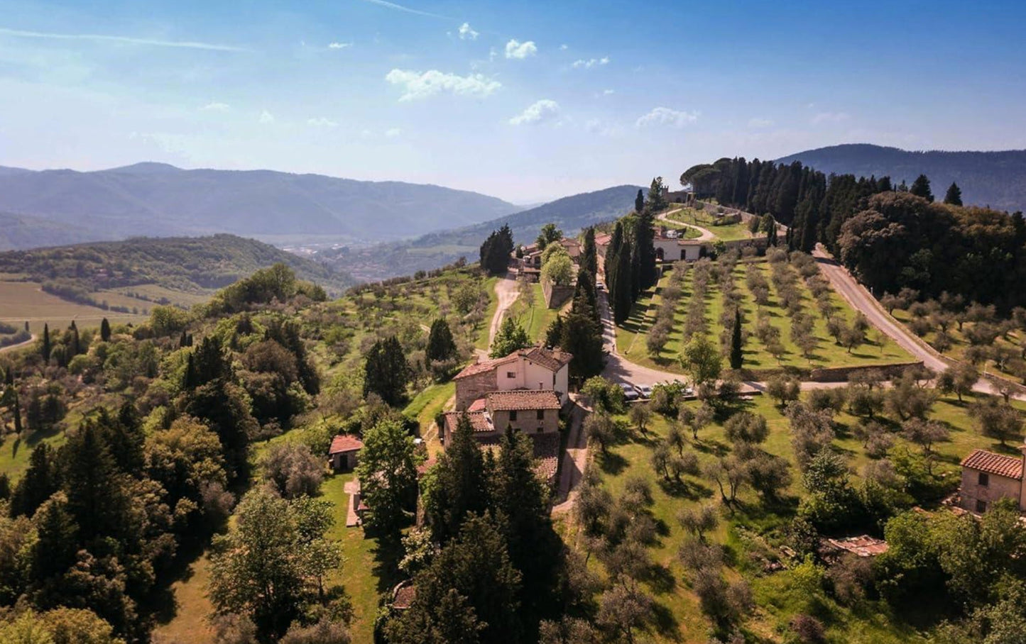 Laudemio Frescobaldi Premium Extra Virgin Olive Oil - Frantoio - Olivver