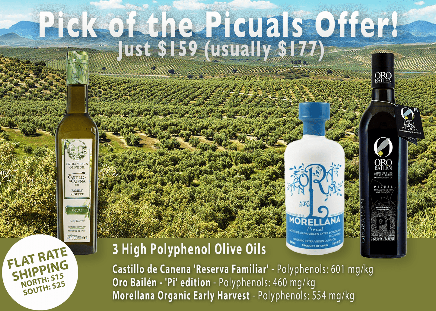 Olivver Pick Of The Picuals Offer - Olivver