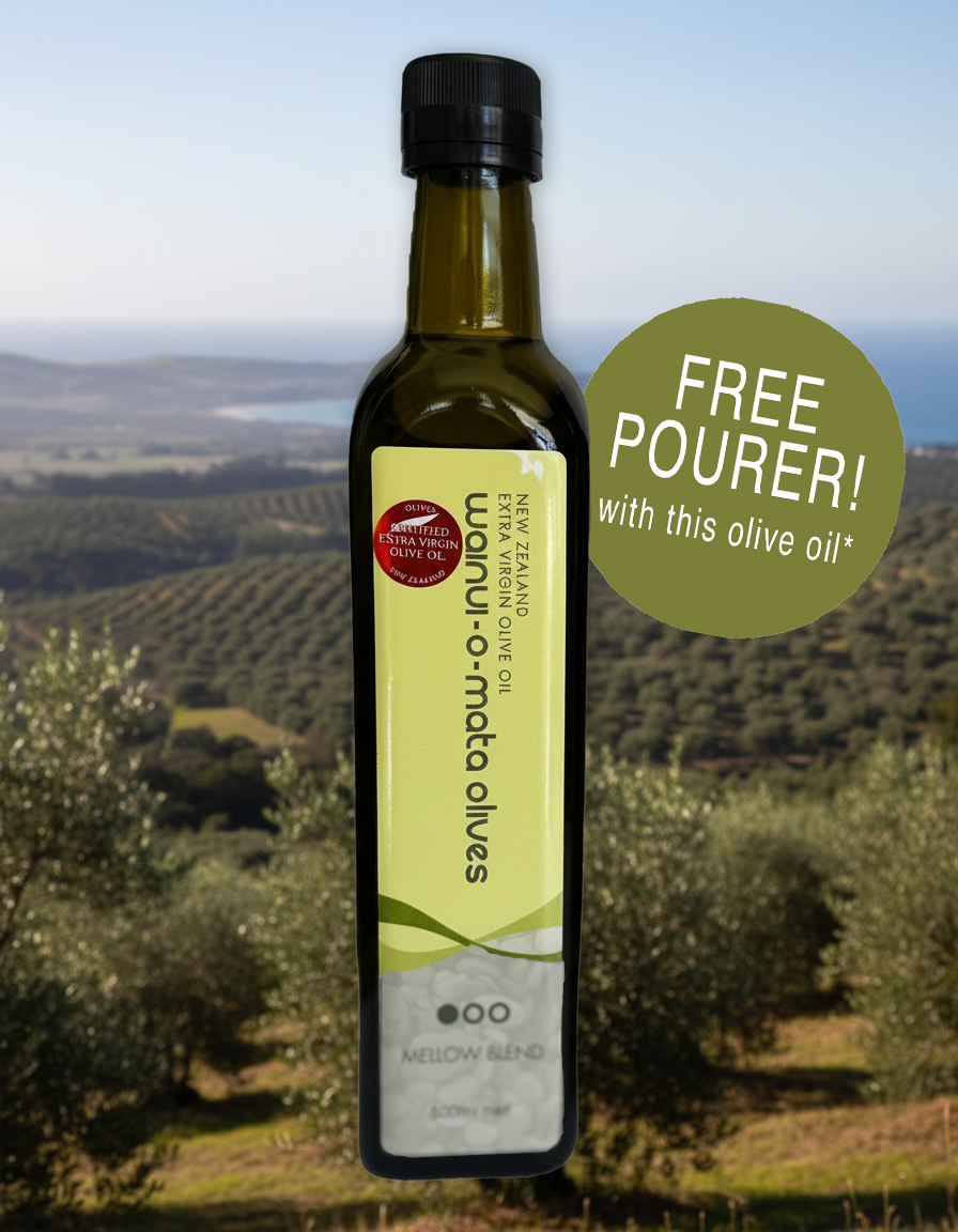 Wainui-o-mata Olives Frantoio - 2025 harvest - with free pourer! - Olivver